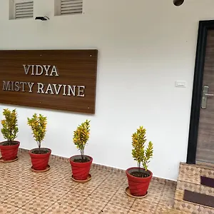 Vidya Misty Ravine Vagamon